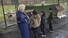 4 Ekim Hayvanları Koruma Günü Kapsamında Farkındalık Etkinlikleri Gerçekleştirdik